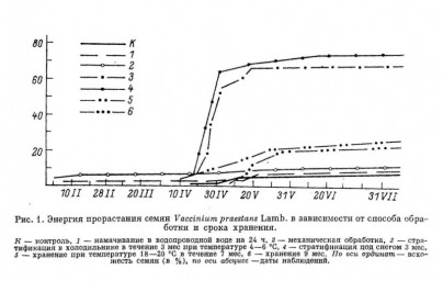 Семенное и вегетативное размножение красники – Vaccinium praestans Lamb.